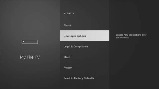 Developer Options.